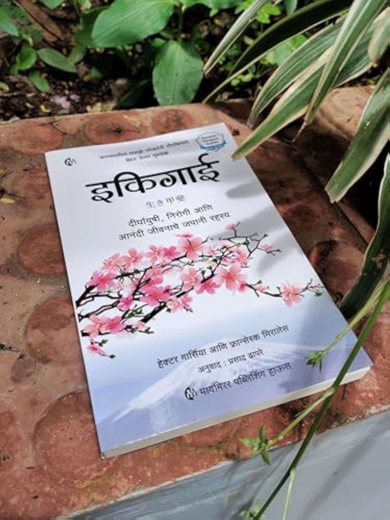 Ikigai (Marathi)
